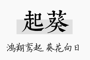 起葵名字的寓意及含义