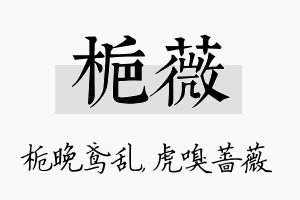 栀薇名字的寓意及含义