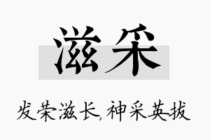 滋采名字的寓意及含义