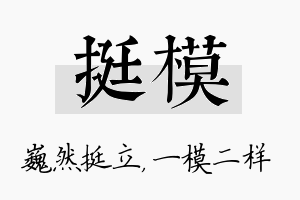 挺模名字的寓意及含义