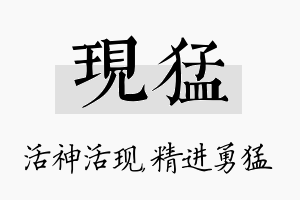 现猛名字的寓意及含义