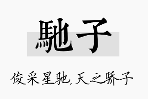 驰子名字的寓意及含义