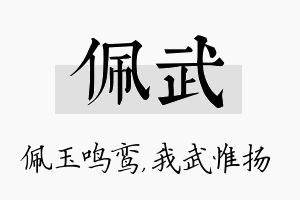 佩武名字的寓意及含义