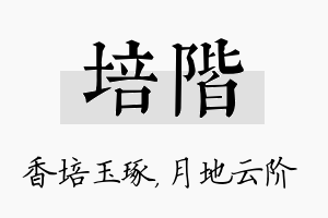 培阶名字的寓意及含义