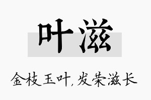 叶滋名字的寓意及含义