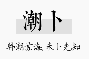 潮卜名字的寓意及含义