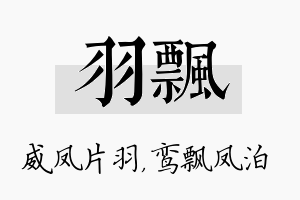 羽飘名字的寓意及含义