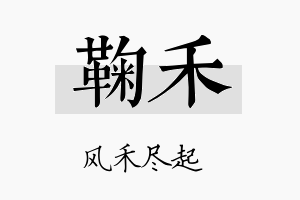 鞠禾名字的寓意及含义