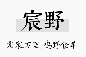 宸野名字的寓意及含义