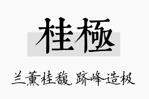 桂极名字的寓意及含义