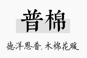 普棉名字的寓意及含义