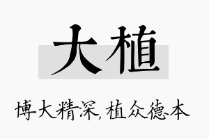 大植名字的寓意及含义