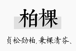 柏棵名字的寓意及含义