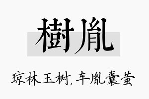 树胤名字的寓意及含义