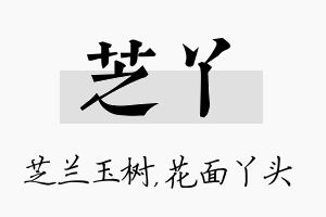 芝丫名字的寓意及含义