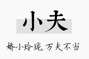 小夫名字的寓意及含义