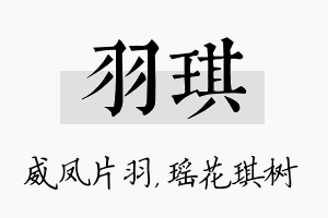 羽琪名字的寓意及含义