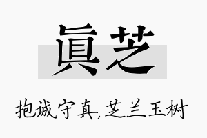 真芝名字的寓意及含义