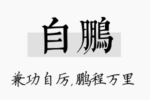 自鹏名字的寓意及含义