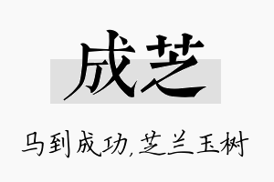 成芝名字的寓意及含义