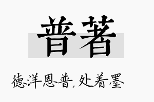 普着名字的寓意及含义