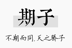 期子名字的寓意及含义