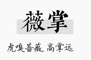 薇掌名字的寓意及含义