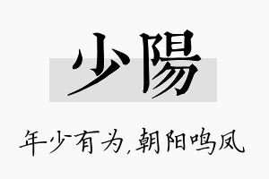 少阳名字的寓意及含义