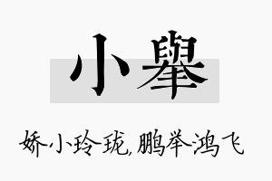 小举名字的寓意及含义