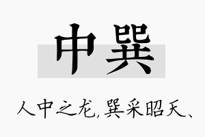 中巽名字的寓意及含义