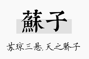 苏子名字的寓意及含义