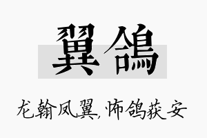 翼鸽名字的寓意及含义