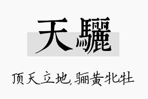 天骊名字的寓意及含义