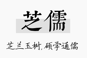 芝儒名字的寓意及含义