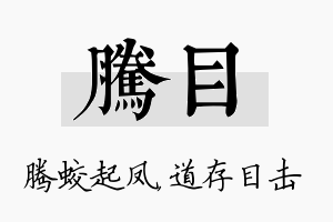 腾目名字的寓意及含义