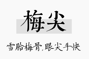 梅尖名字的寓意及含义