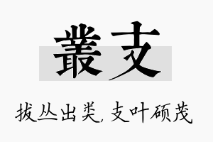 丛支名字的寓意及含义