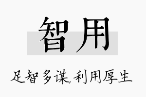 智用名字的寓意及含义