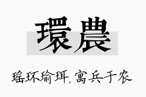 环农名字的寓意及含义