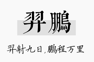 羿鹏名字的寓意及含义