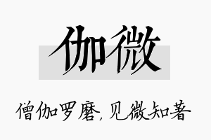 伽微名字的寓意及含义