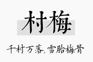 村梅名字的寓意及含义