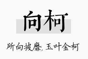 向柯名字的寓意及含义