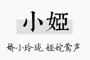 小娅名字的寓意及含义