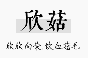 欣菇名字的寓意及含义