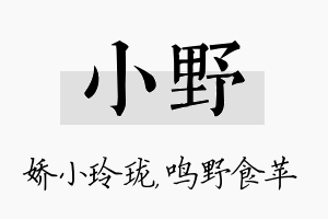 小野名字的寓意及含义