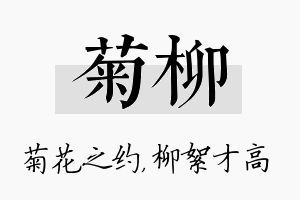 菊柳名字的寓意及含义