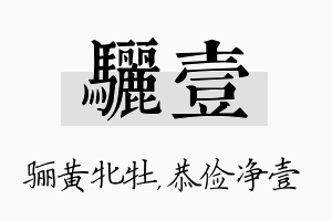 骊壹名字的寓意及含义