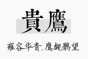 贵鹰名字的寓意及含义