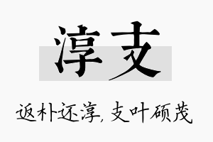 淳支名字的寓意及含义